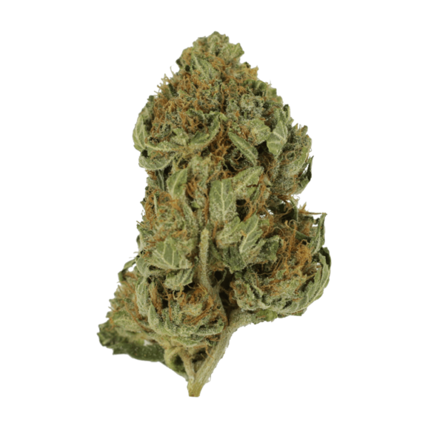 Bubblegum – 1 ounce | Ganja Express Canada
