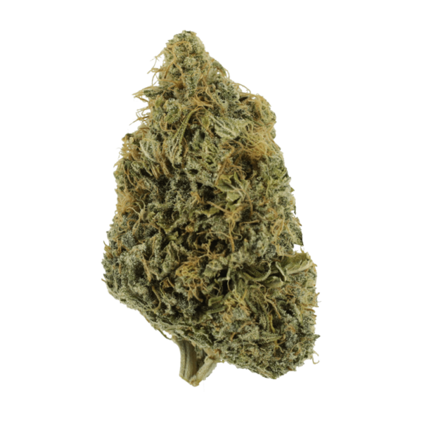 NYC Diesel | Ganja Express Canada