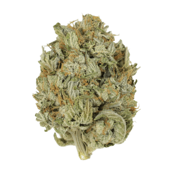 Blue Dream (Popcorn) | Ganja Express Canada