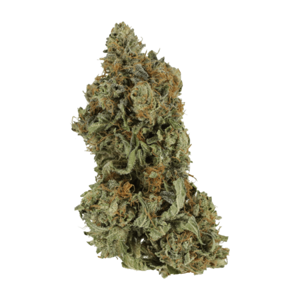 Bruce Banner #3 | Ganja Express Canada