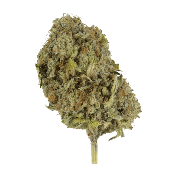 Chemo | Ganja Express Canada