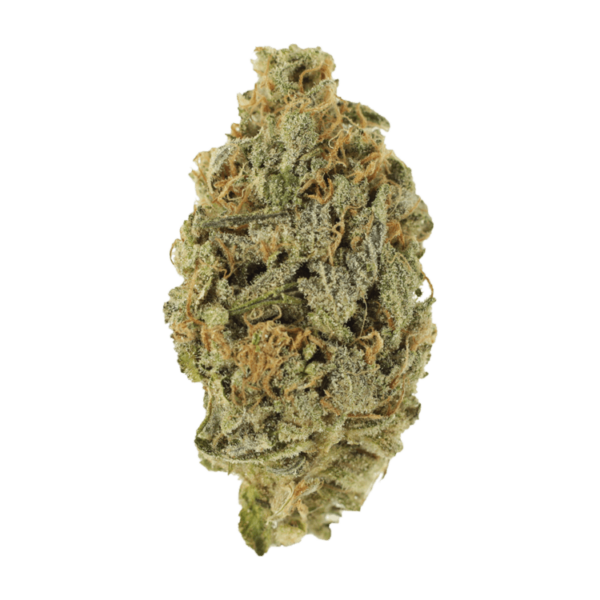 Lavender | Ganja Express Canada