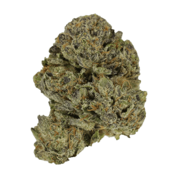 Lavender | Ganja Express Canada