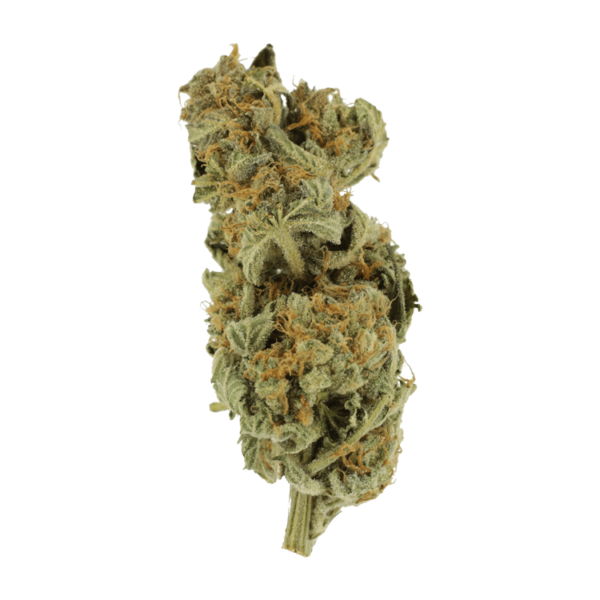 Gorilla Glue | Ganja Express Canada