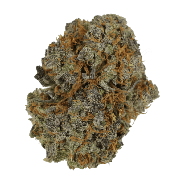 Jack Herer 1 Ounce | Ganja Express Canada