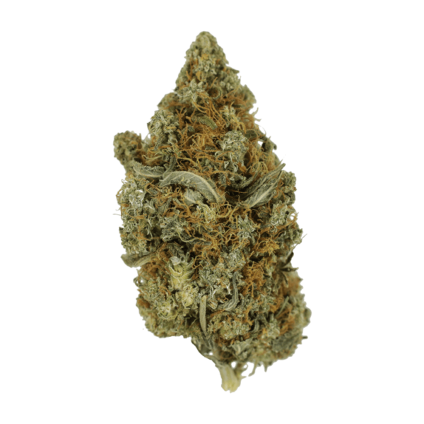 Jack Herer 1 Ounce | Ganja Express Canada