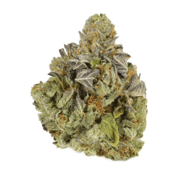 Jet Fuel | Ganja Express Canada