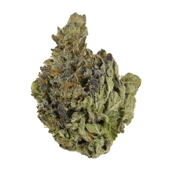 Chocolope | Ganja Express Canada