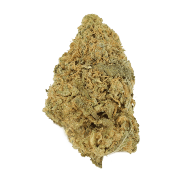 Zombie OG | Ganja Express Canada