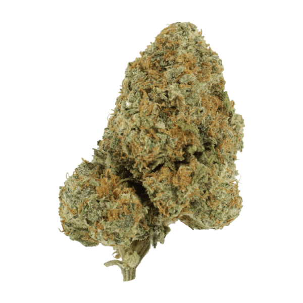 Blue Rhino | Ganja Express Canada