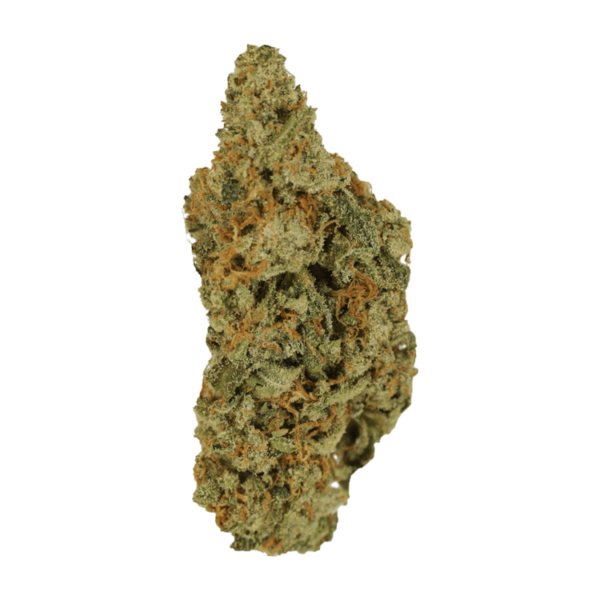 Mimosa | Ganja Express Canada