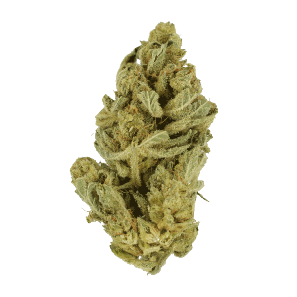 Hindu Kush – 7g | Ganja Express Canada