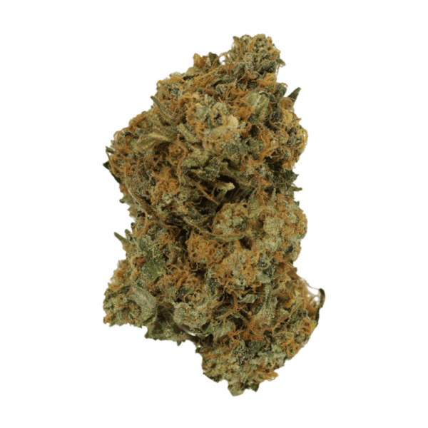 Mimosa | Ganja Express Canada