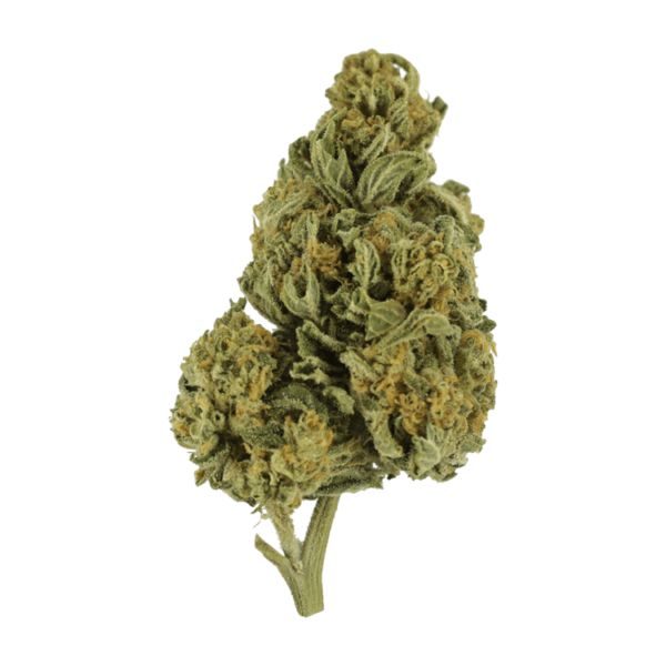 Blackwater | Ganja Express Canada