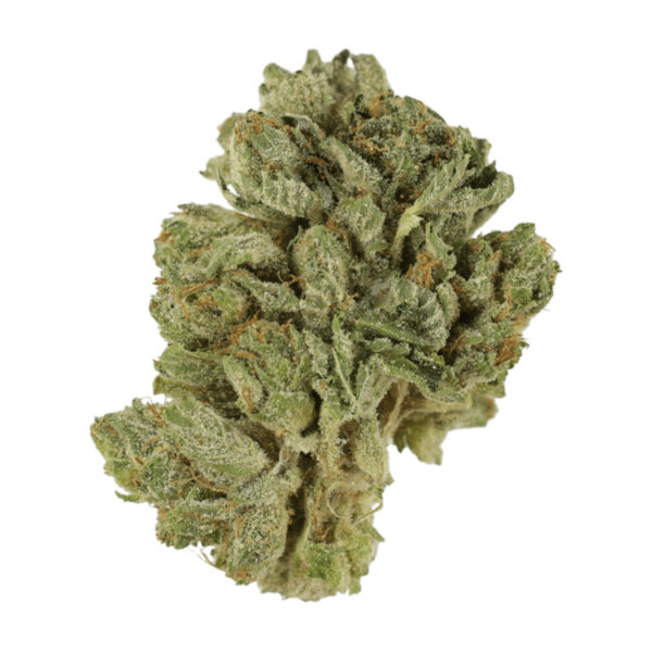 Northern Lights 2 for $69 | Ganja Express Canada