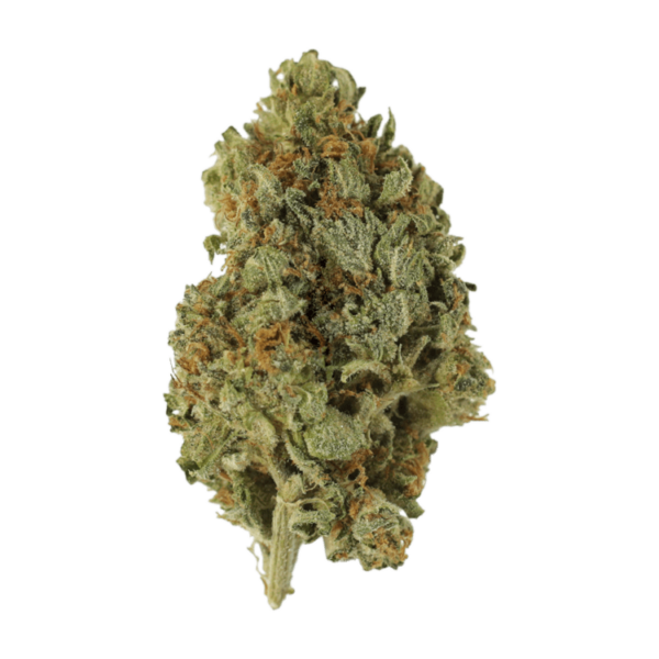 Sugar Cookies | Ganja Express Canada