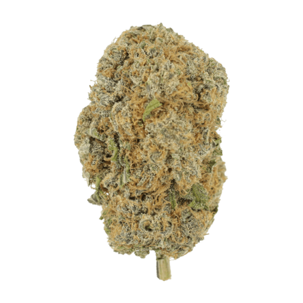 Pine Tar - | Ganja Express Canada