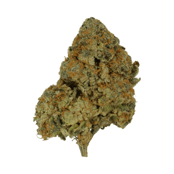 9lb Hammer | Ganja Express Canada