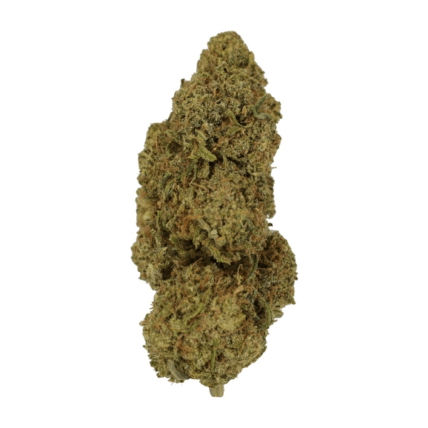 9lb Hammer | Ganja Express Canada