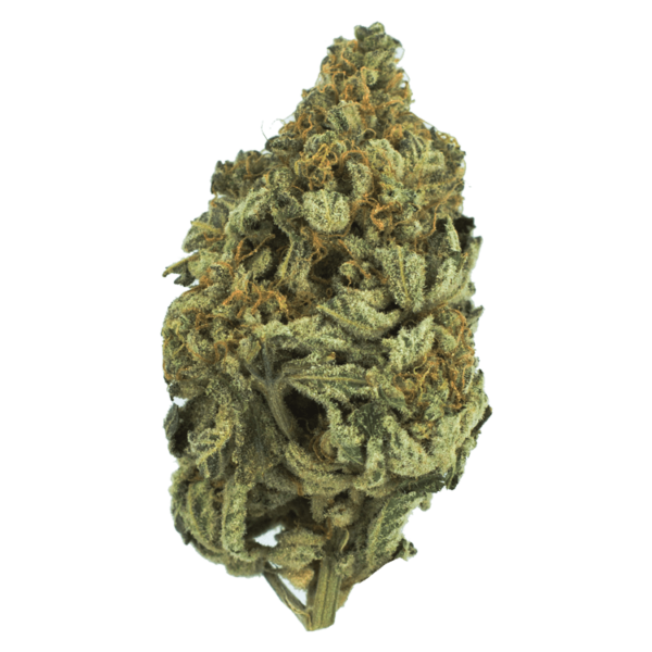 Bakerstreet | Ganja Express Canada