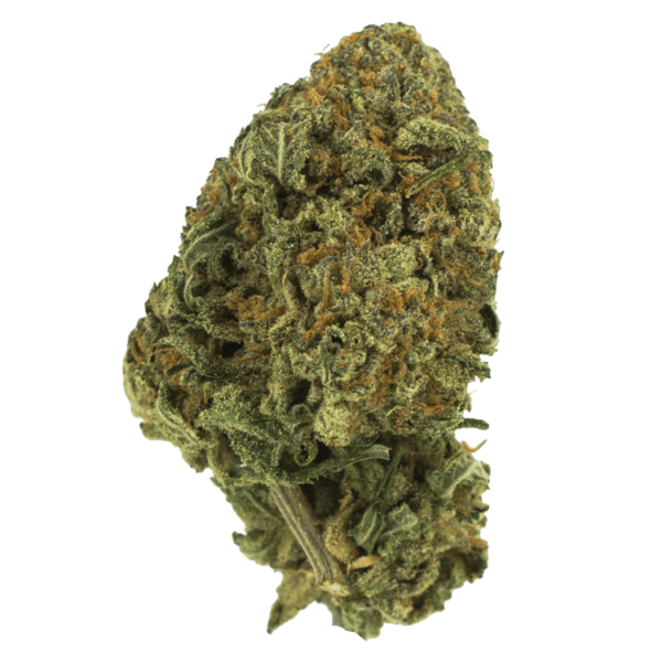 Black Nuken | Ganja Express Canada