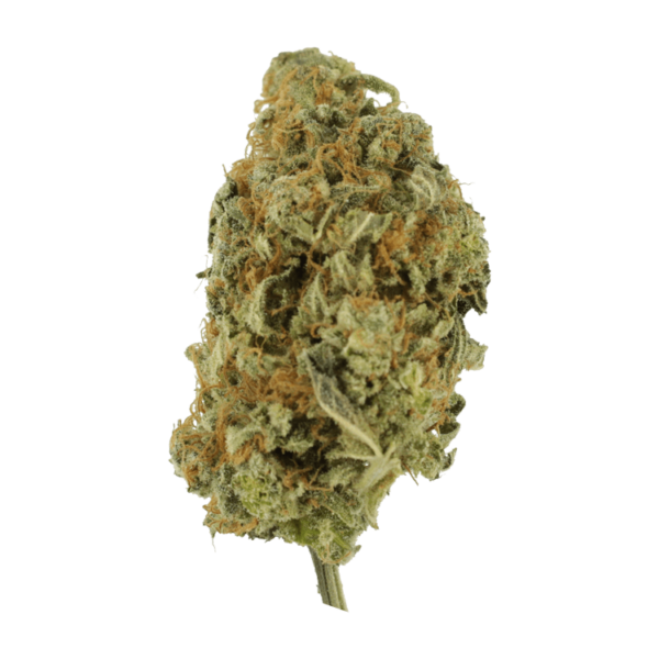 Lollypop – 1 ounce | Ganja Express Canada