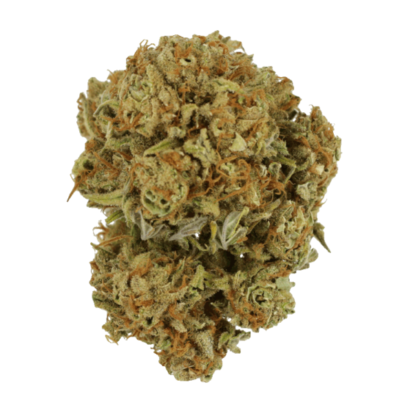 Maui Wowie | Ganja Express Canada