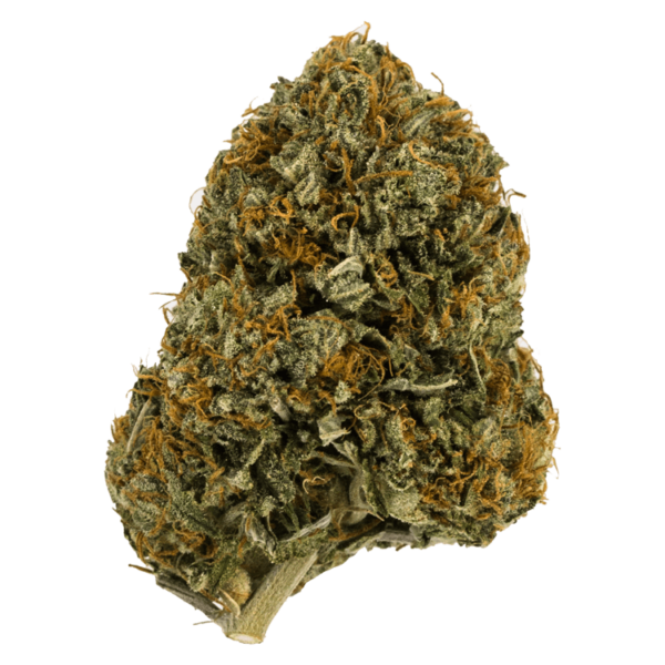 Wifi OG – 1 ounce | Ganja Express Canada