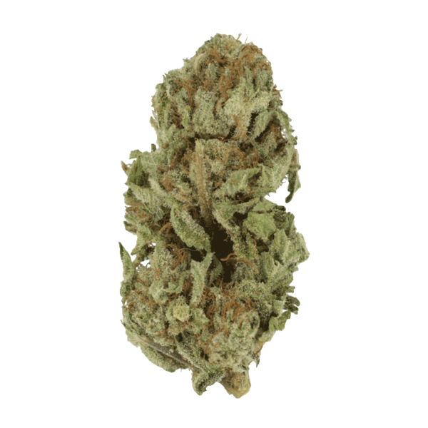 Golden Goat | Ganja Express Canada