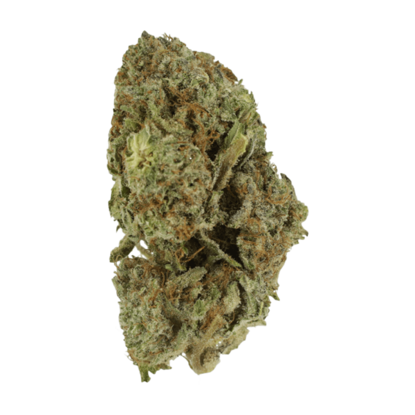 Gelato Sorbet – 1 ounce | Ganja Express Canada