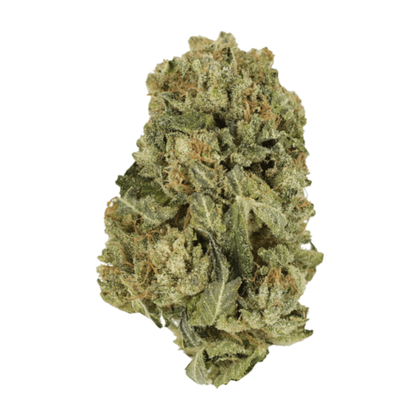 Black Domina | Ganja Express Canada