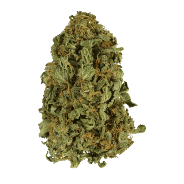 Apricot Kush – $35/oz | Ganja Express Canada