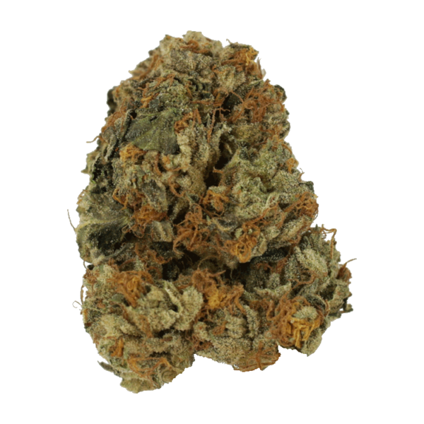 Dolato – 1OZ | Ganja Express Canada