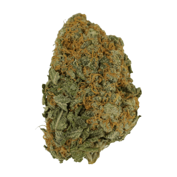 Master Kush Ultra | Ganja Express Canada