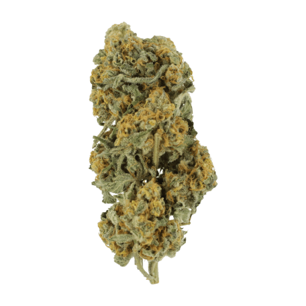 Miracle Alien Cookies | Ganja Express Canada