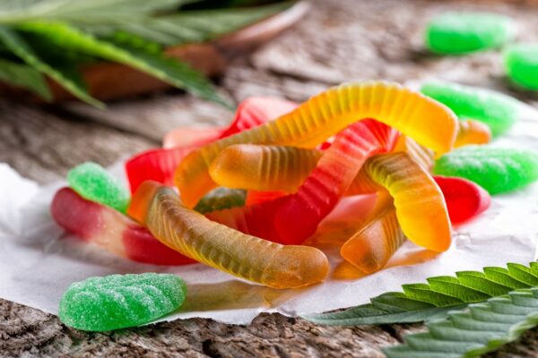 MOTA Edibles Bundles – SAVE 10% | Ganja Express Canada