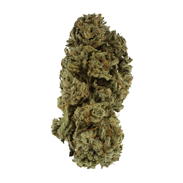 Black Kush – 1 ounce | Ganja Express Canada