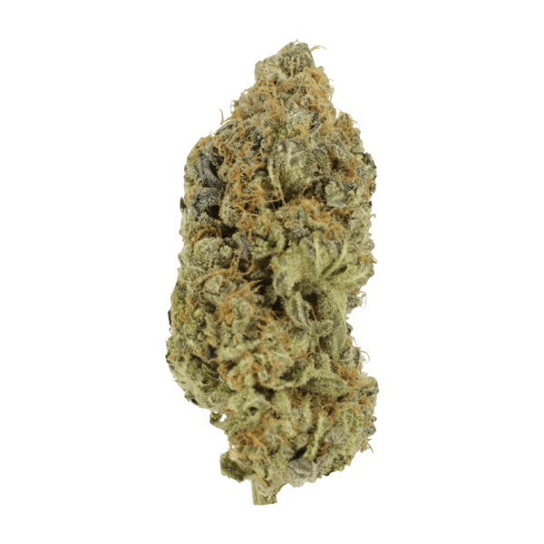 Critical Widow | Ganja Express Canada