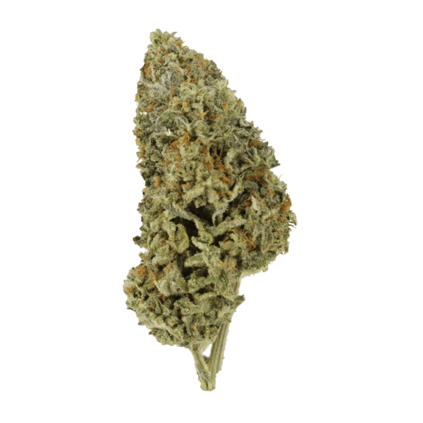 Super Silver Sour Diesel | Ganja Express Canada