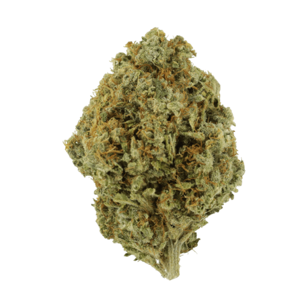 Orange Barb | Ganja Express Canada