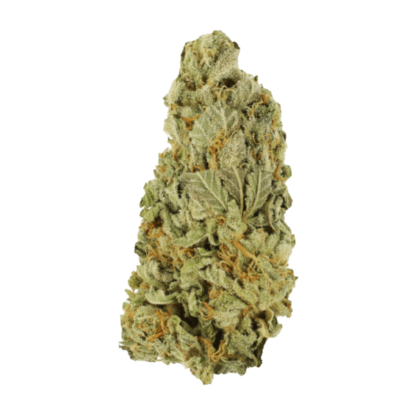 Green Congo | Ganja Express Canada