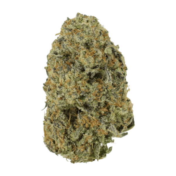 Northern Haze Express | Ganja Express Canada