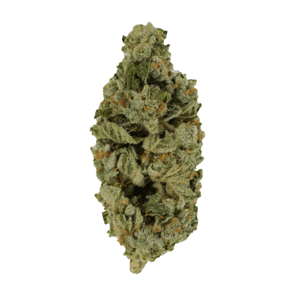 Crazy Glue | Ganja Express Canada