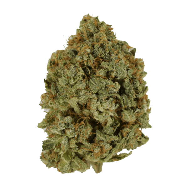 Crazy Glue | Ganja Express Canada