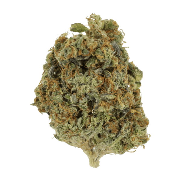 Sunset Sherbert | Ganja Express Canada