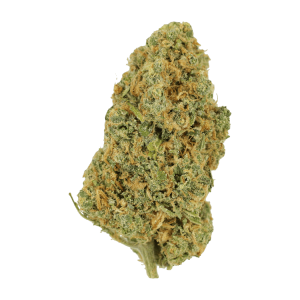 Lemon Bomb | Ganja Express Canada