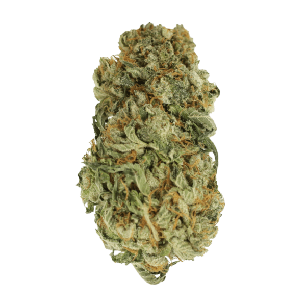 King Louis – 1 ounce | Ganja Express Canada