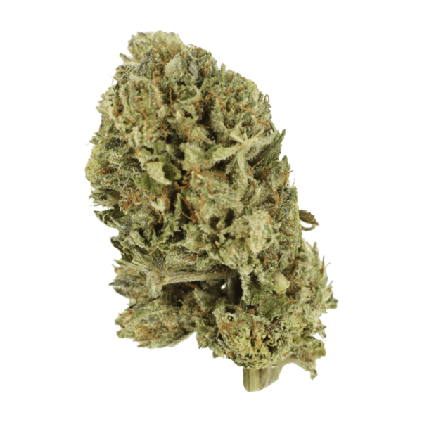 Purple OG Kush – 1 ounce | Ganja Express Canada