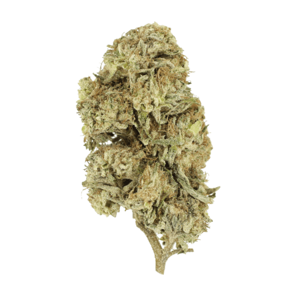 Cherry Wine (CBD) | Ganja Express Canada