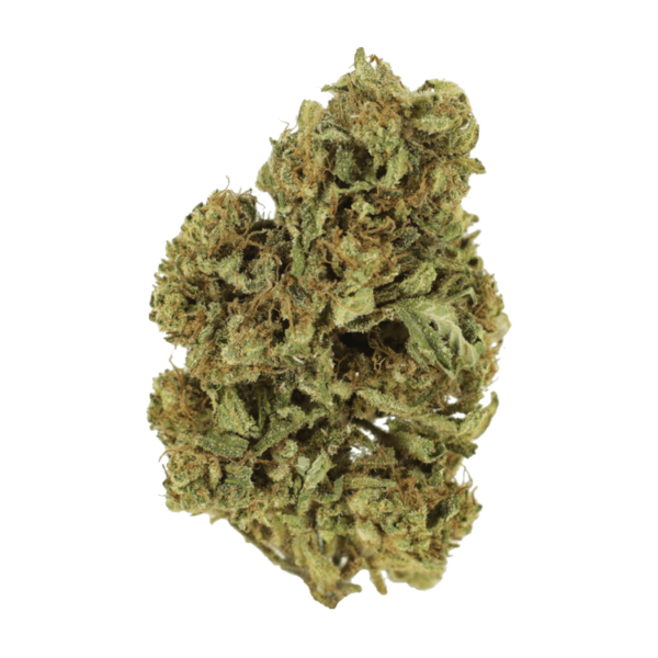 Cherry Wine (CBD) | Ganja Express Canada
